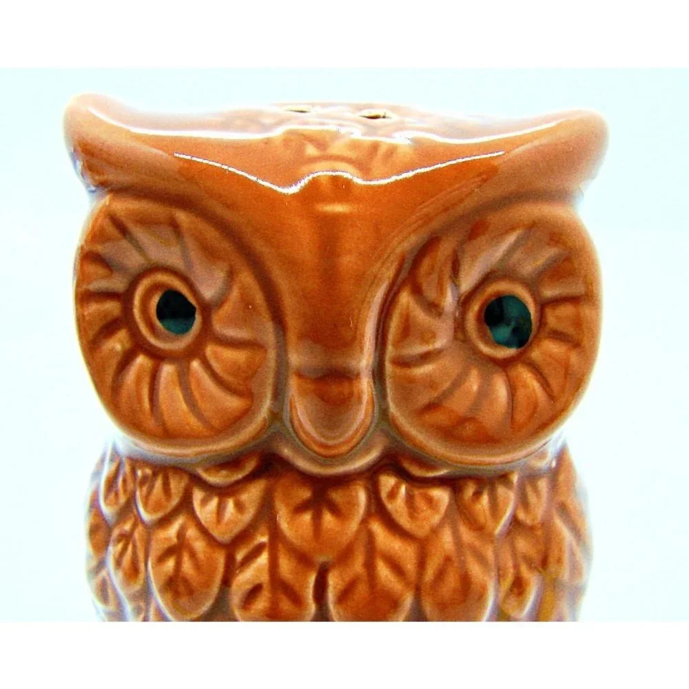Unbranded Vintage Style Big Eyed Brown Owl Ceramic Salt & Pepper Shakers NWOT